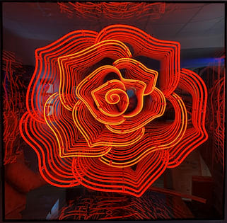 ROSE_ORANGEE_Mixte-Neon_120x120x18,5cm / 47x47x7,2 inches