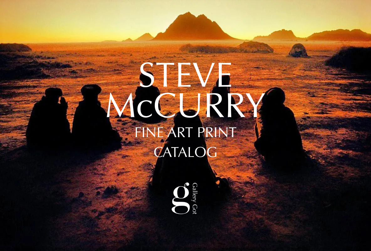 CATALOGUE McCURRY 2020